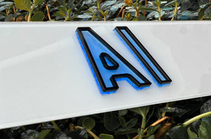 4D Ghost Number Plates (SHOW PLATES)