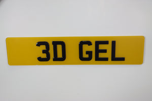 3D Gel plate Show Plate